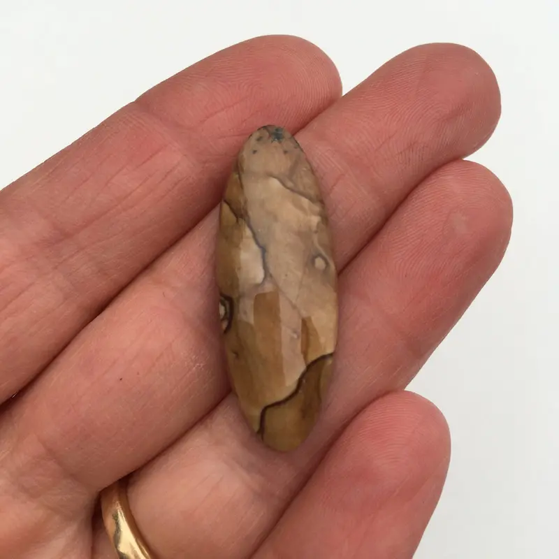 Biggs Picture Jasper Landscape Slab – Oregon
