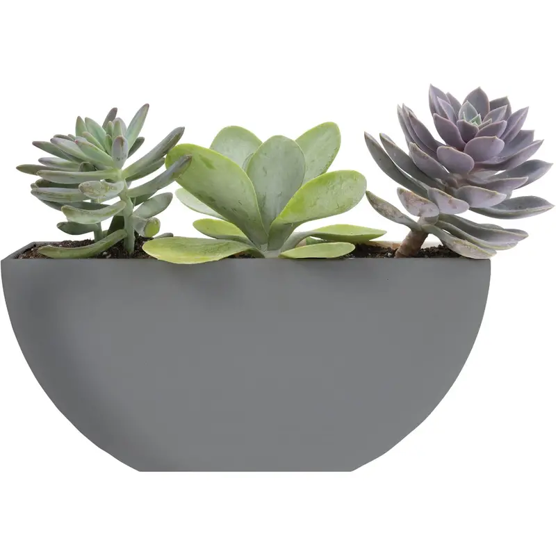 Bloem Bodye Half-Moon Charcoal Planter – 11 In. X 3.75 In. Plastic Design 1