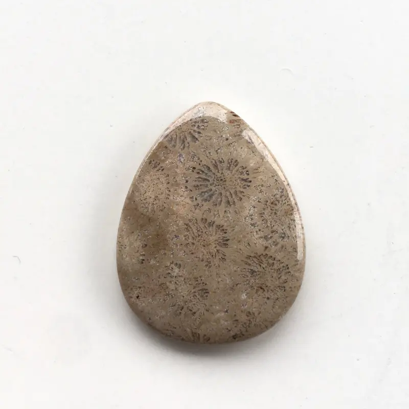 Fossilized Coral Specimen Pendant