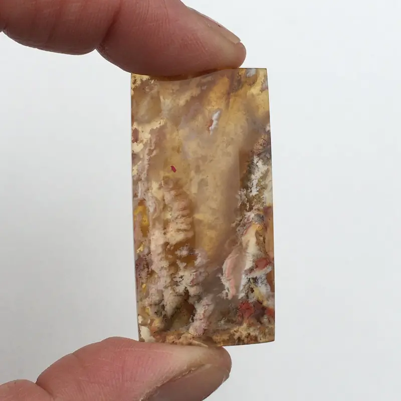 Graveyard Point Plume Agate Cross-Section Slab