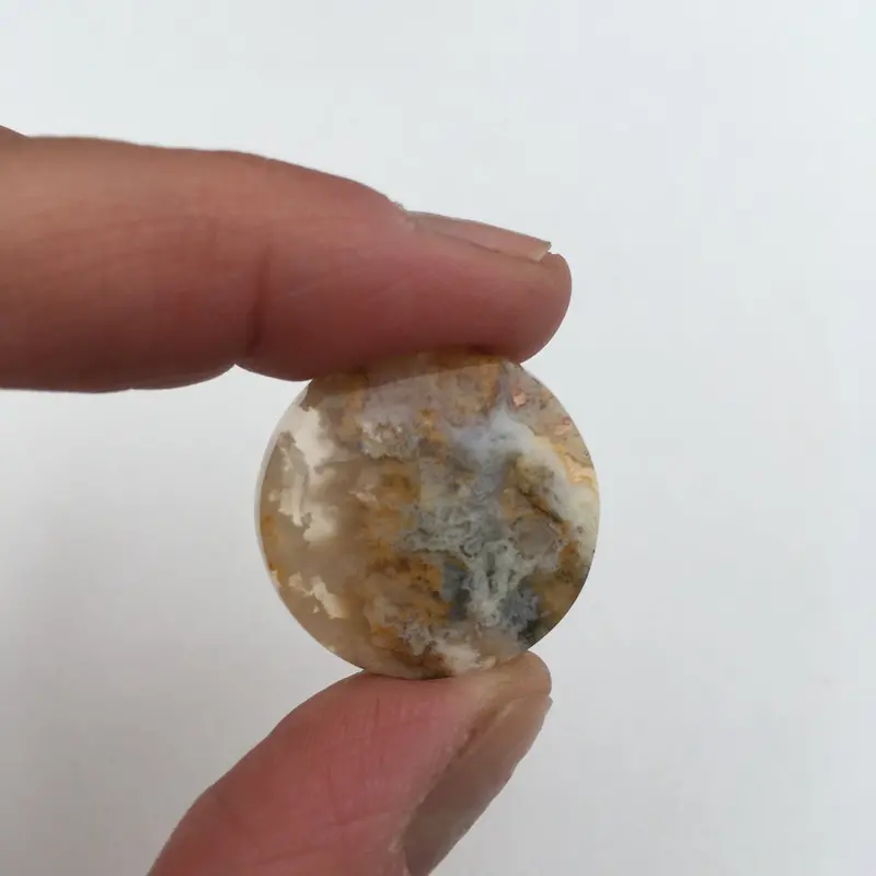 Graveyard Point Plume Agate Polished Round