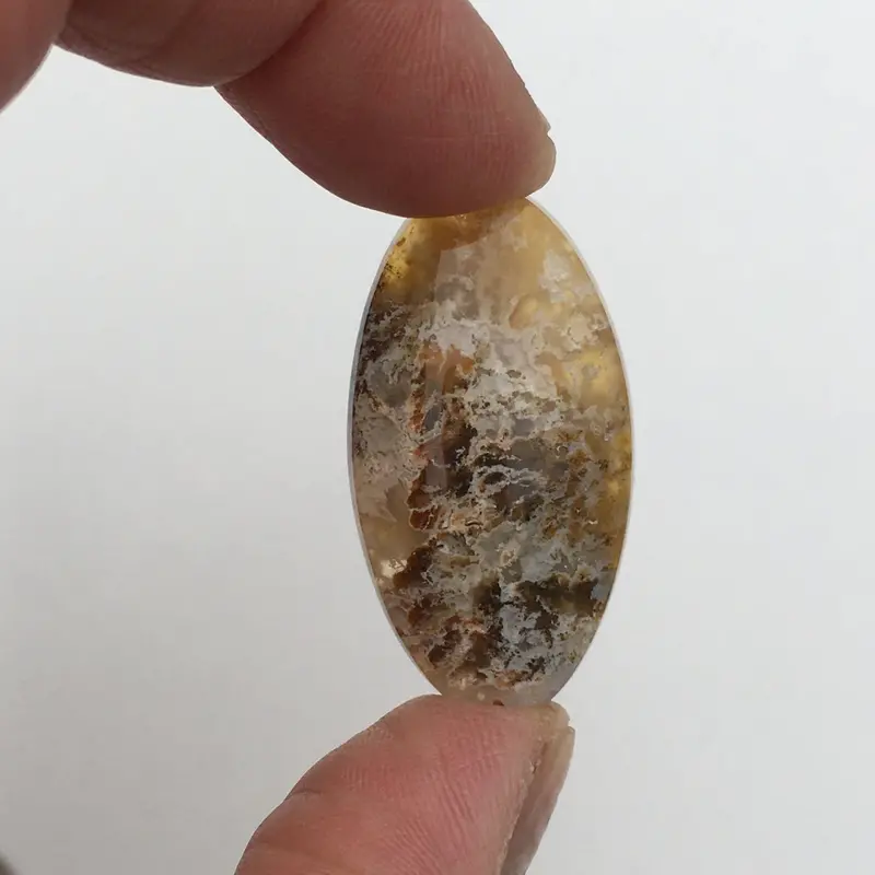 Graveyard Point Plume Agate Raw Nodule Specimen